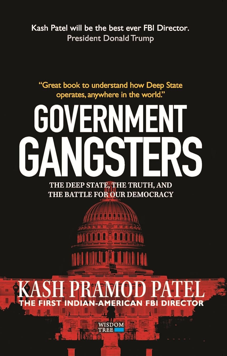 Government Gangsters :the Deep State, The Truth, And The Battle For Our Democracy